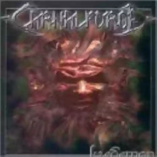 Cover di Firedemon