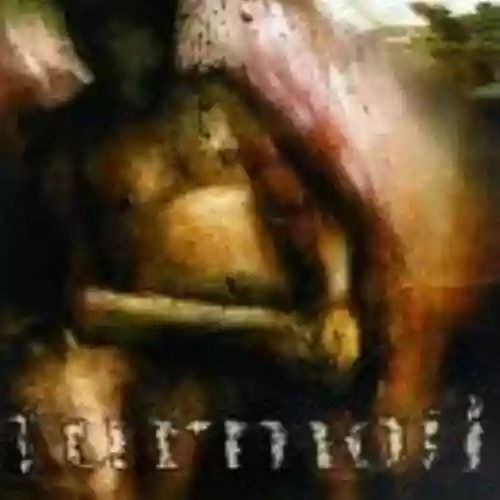 Cover di From Bleeding Hands