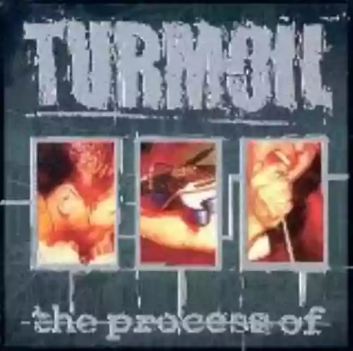 Cover di The Process Of...