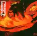 <b>The Stooges</b> • Fun House
