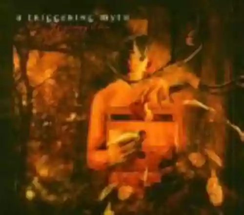 Cover di Forgiving Eden