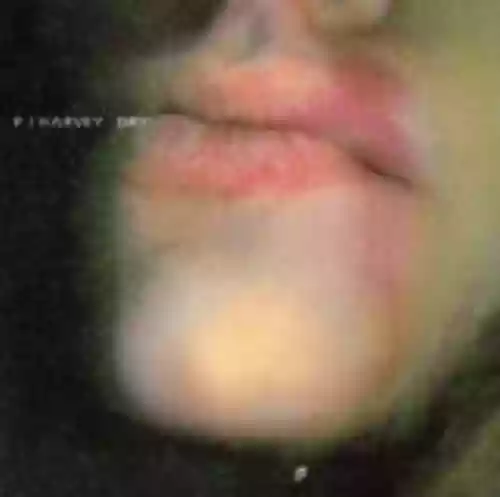 Cover PJ Harvey - Dry