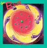 Copertina di The B-52s Bouncing off the Satellites