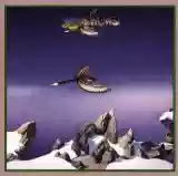 Yes: Yesshows