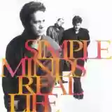 Simple Minds: Real Life