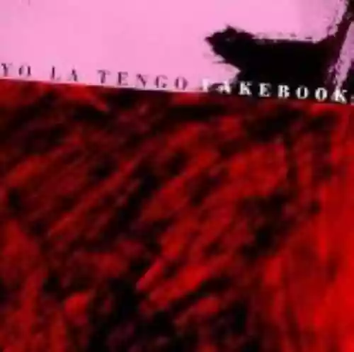 Cover Yo La Tengo - Fakebook
