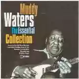 muddy waters: the essential collection