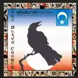 The Black Crowes: Greatest Hits 1990-1999: A Tribute to a Work in Progress