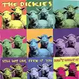 The Dickies: Still Got Live, Even If You Don't Want It