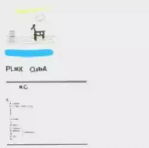 Cover Nuno Canavarro - Plux Quba