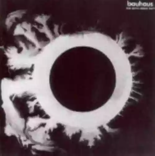 Cover Bauhaus - The Sky's Gone Out