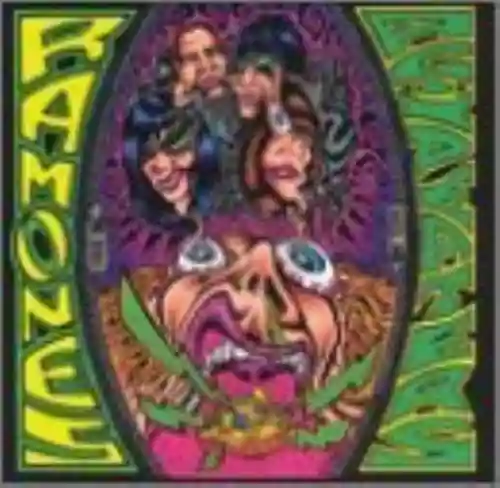 Cover Ramones - Acid Eaters