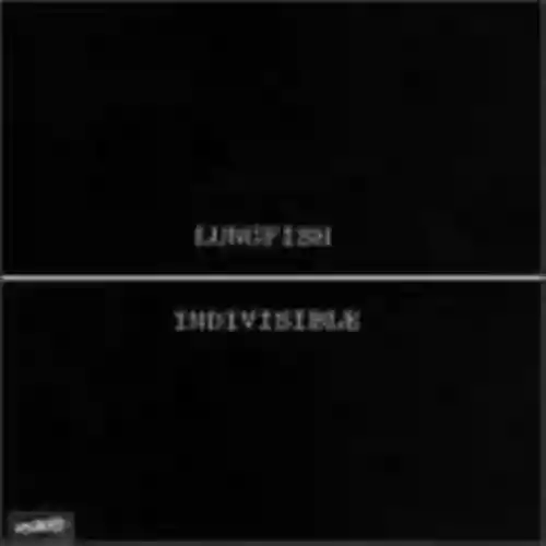 Cover di Indivisible