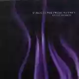 Steve Roach: Structures From Silence
