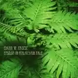 Edgar Froese: Epsilon in Malaysian Pale