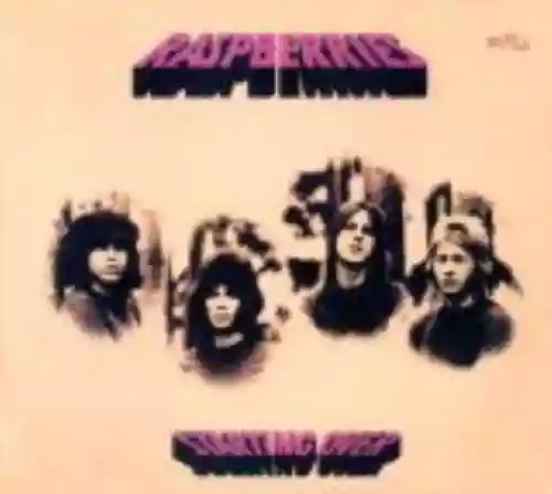 Cover The Raspberries - Starting Over