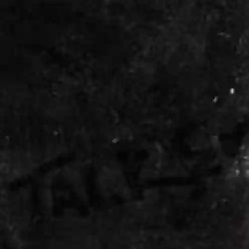 Cover U.S. Maple - Talker