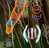 Cover di Spooky