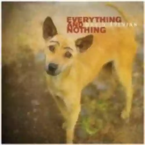Cover di Everything and Nothing