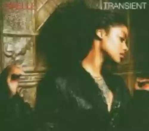 Cover di Transient