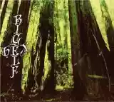 Bigelf: Hex