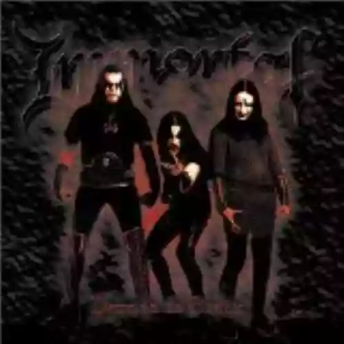 Cover di Damned in Black
