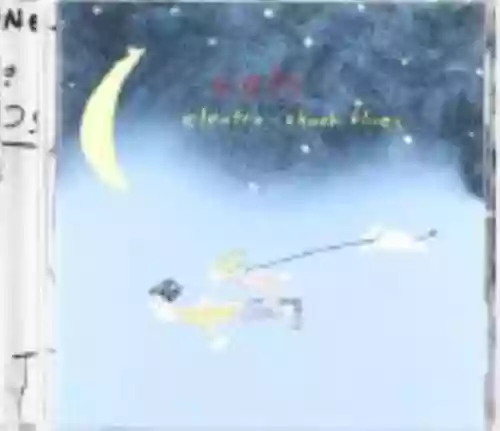 Cover Eels - Electro-Shock Blues
