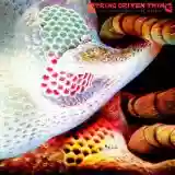 String Driven Thing: The Machine That Cried