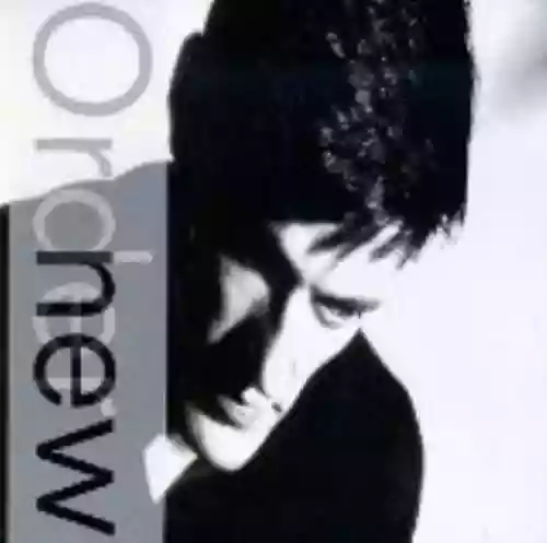 Cover New Order - Low-Life
