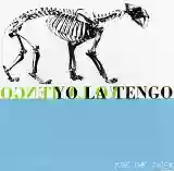 Yo La Tengo: Ride the Tiger