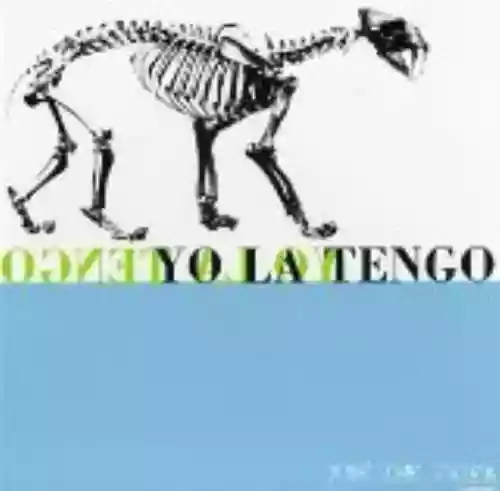 Cover Yo La Tengo - Ride the Tiger