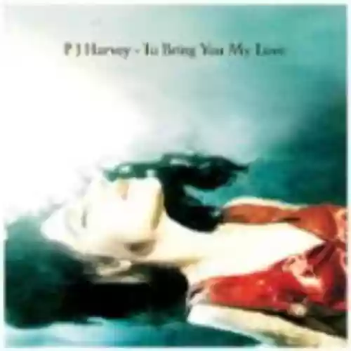 Cover PJ Harvey - To Bring You My Love