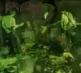 Dead Meadow: Feathers