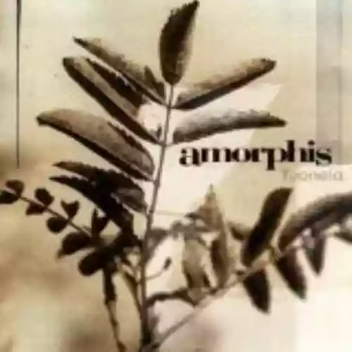 Cover di Tuonela