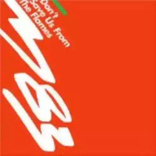 Cover di Don't Save Us From the Flames