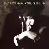 The waterboys: This is the sea