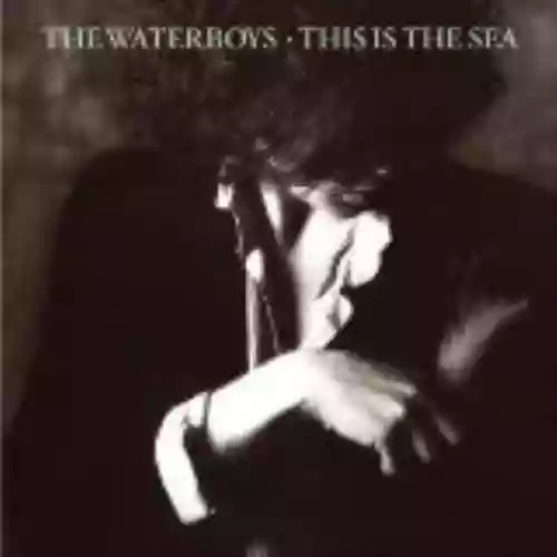 Cover The Waterboys - This Is the Sea