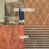 For Squirrels: Example