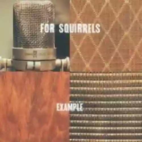 Cover di Example