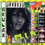 M.I.A.: Arular