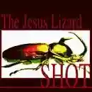 The Jesus Lizard: Shot