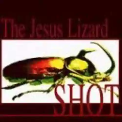 Cover di Shot