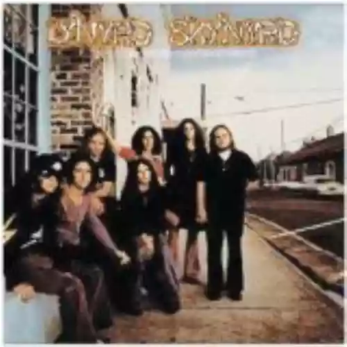 Cover Lynyrd Skynyrd - (pronounced 'lĕh-'nérd 'skin-'nérd)