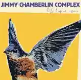 Jimmy Chamberlin Complex: Life Begins Again