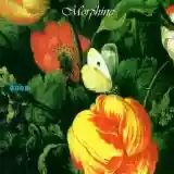 Morphine: Good