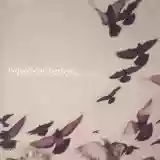 Cover di Rossz csillag alatt született