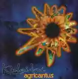 Agricantus: Kaleidos