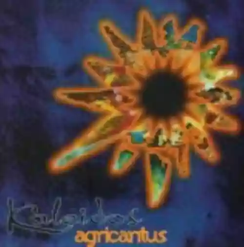 Cover di Kaleidos