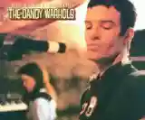 The Dandy Warhols: Bohemian Like You