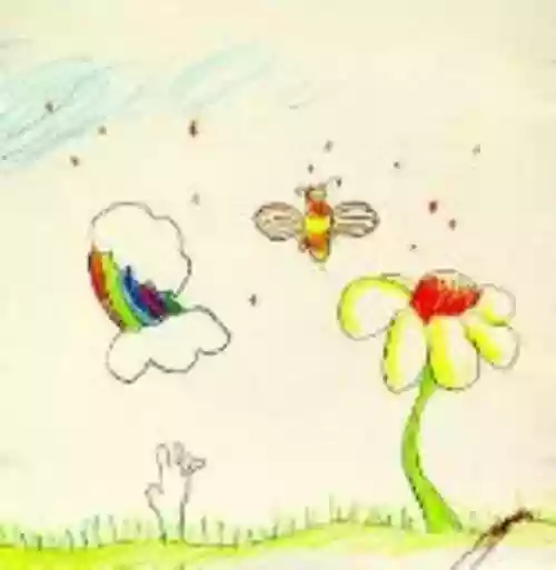 Cover Plush - More You Becomes You